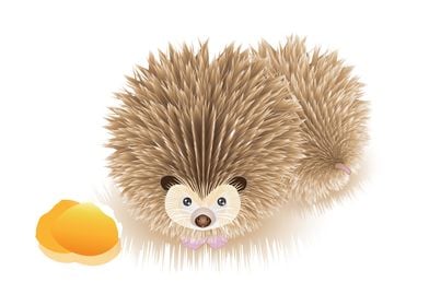 Hedgehog eat