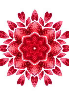 Red Petal Abstract Flower