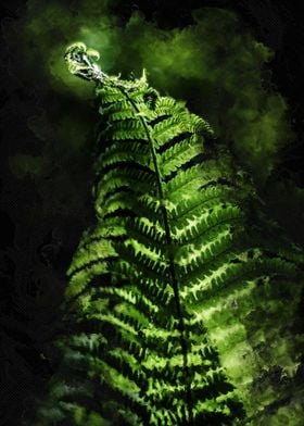 Fern