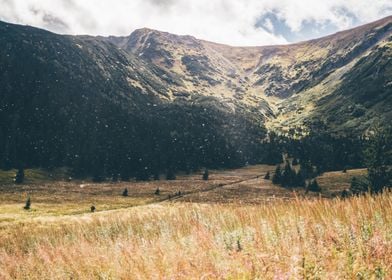 Autumn Mountain Field