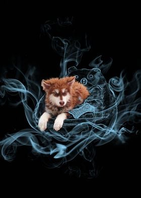 puppy blue smoke 