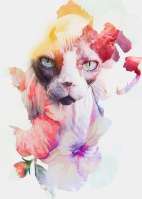 Flowers cat