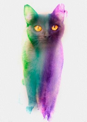 Watercolor cat