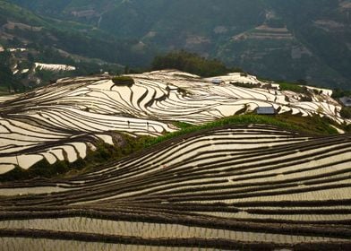 Watered terraces