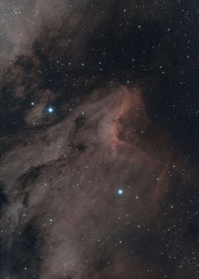 Pelican Nebula in HOO
