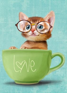 Kitten with big glasses