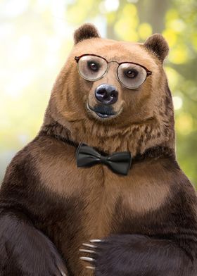 Mr Bear portrait