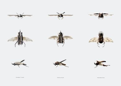 aircraft evolution phase 2