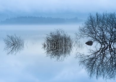 Mist and Refections