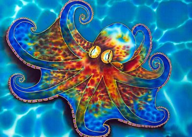 Caribbean Octopus