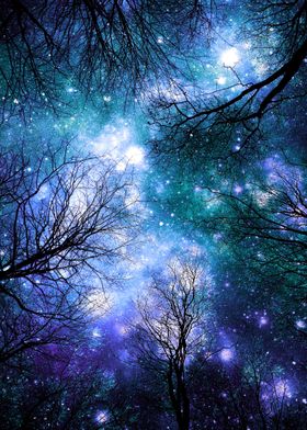 Trees Violet Teal Cosmos