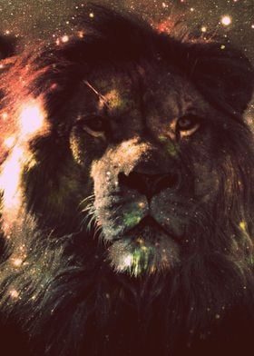 Leo Lion Dark Warmth