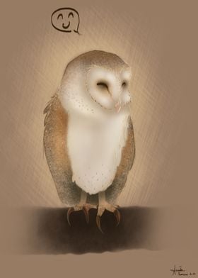 Barn owl.