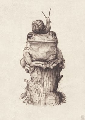 frog and snail 
