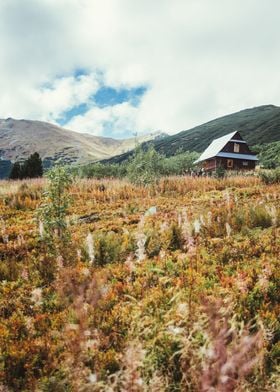 Autumn Flora Mountains