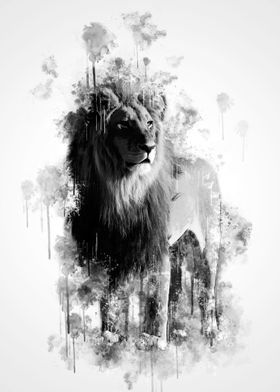 Lion Black and White