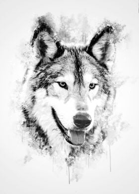 Wolf Head Black and white