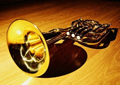 Tenor horn on wooden floor