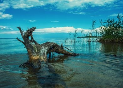 Landscape of the river