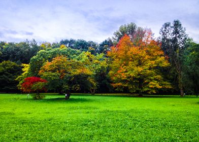 Autumn Colors