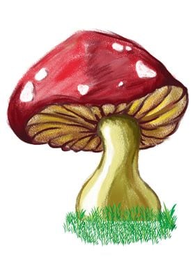 Mushroom