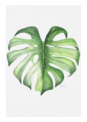 Tropical Monstera Leaf #2