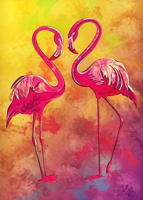 Flamingos