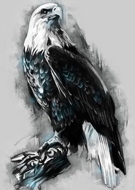 Eagle