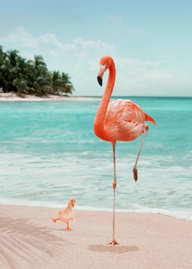 Wannabe Flamingo