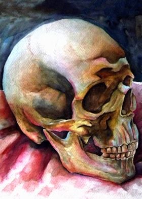skull watercolor studio