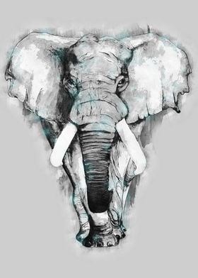 Elephant 4