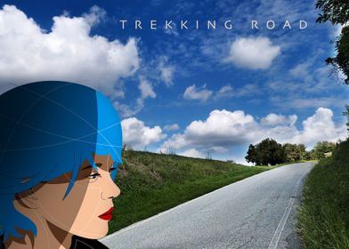 Trekking road 02