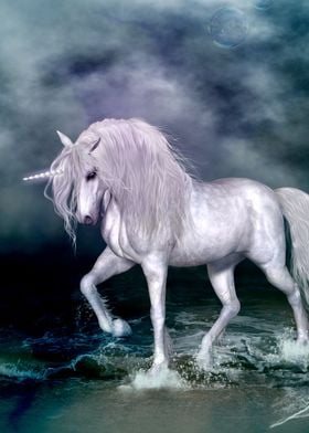 Wonderful unicorn 