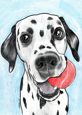 Dalmation with Red Ball