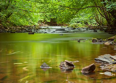 Down by the river