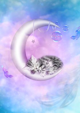 Cute kitten on the moon