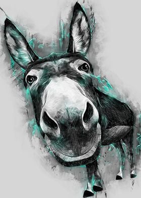 Donkey