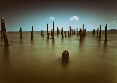 Seascape and wooden sticks