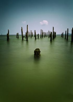 Seascape and wooden sticks