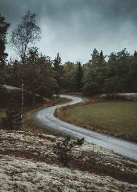 Rainy Swedish Roads