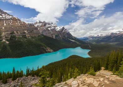  Peyto Lake