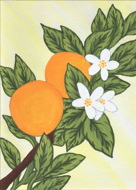 Blooming Orange Tree