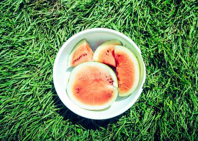 watermelon on garden