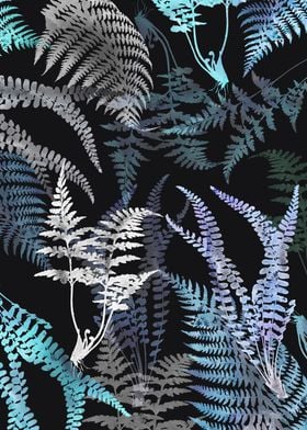 Dark Ferns