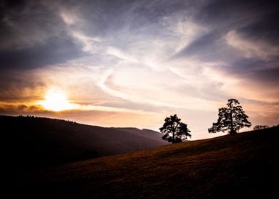 Sunset On The Meadow