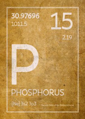 Phosphorus Element Symbol