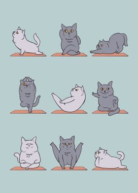  British  Cat Yoga