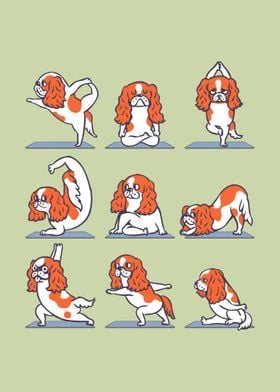 Charles Spaniel Yoga