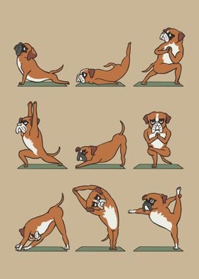 Boxer Yoga