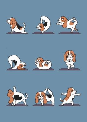 Basset Hound yoga